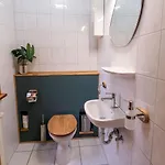 Blauvogel Blauvogel 36 * Hasselfelde