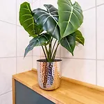 Blauvogel Blauvogel 36 Prázdninový dům