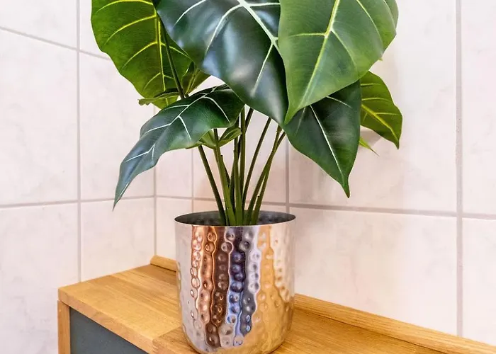 Blauvogel Blauvogel 36 Holiday home