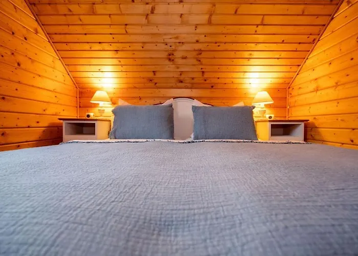 Holiday home Blauvogel Blauvogel 36 Hasselfelde