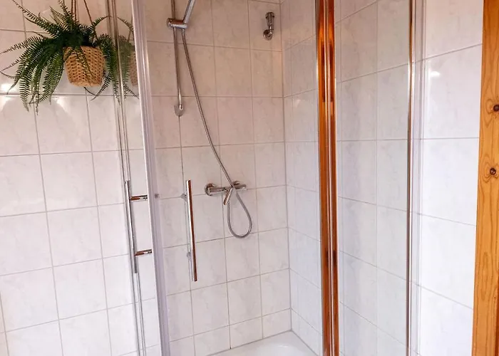 Blauvogel Blauvogel 36 *